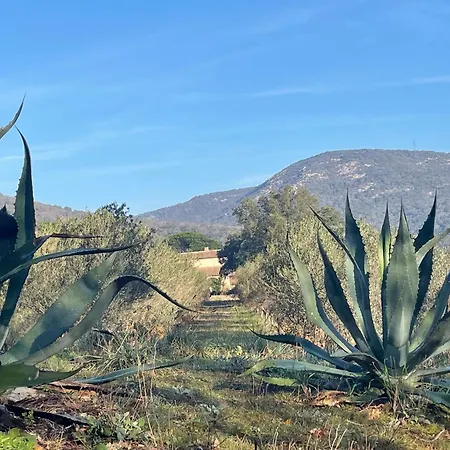 La Petite Maison Jaune * Grimaud